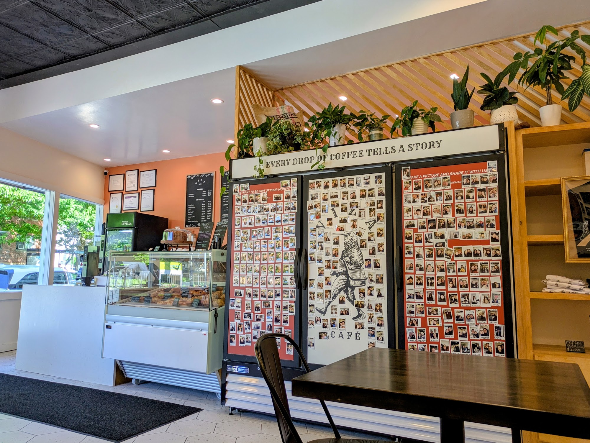 Viza Cafe interior with coffee story display, plants, and pastry case